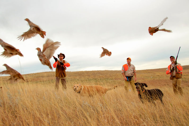 Tumbleweed Lodge, SD -  image number 0