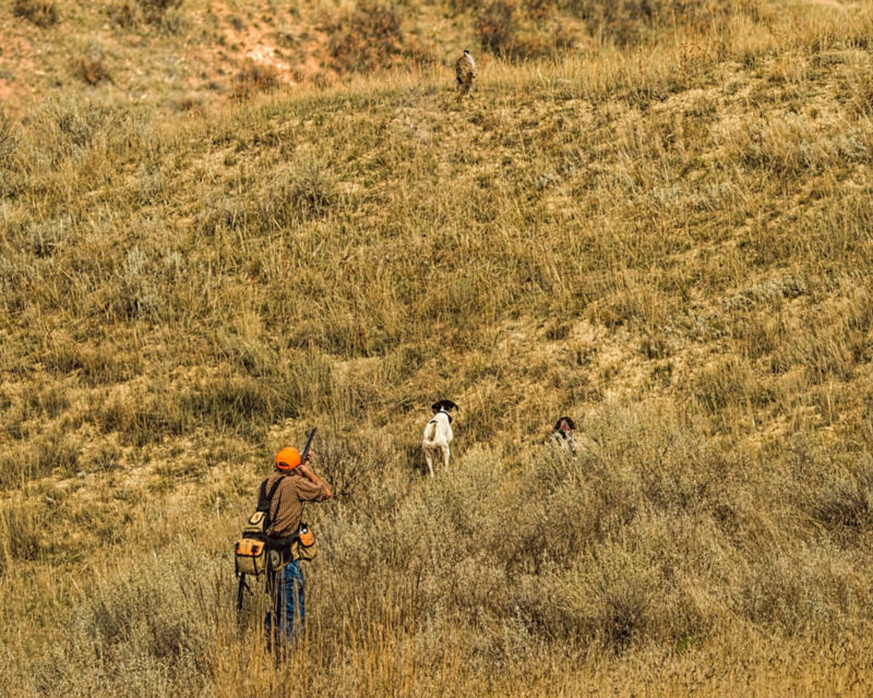 Eagle Nest Lodge, MT -  image number 1