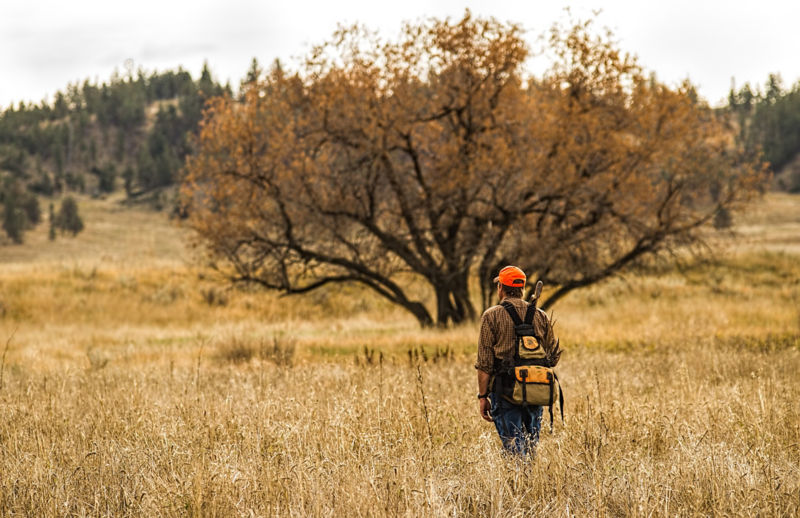 Eagle Nest Lodge, MT - 