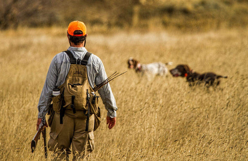 Eagle Nest Lodge, MT -  image number 4