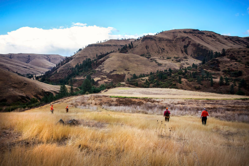 Flying B Ranch, ID -  image number 1