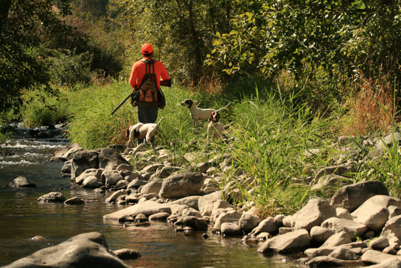 Flying B Ranch, ID -  image number 3