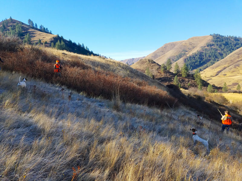 Flying B Ranch Wingshooting Lodge In Idaho | Orvis