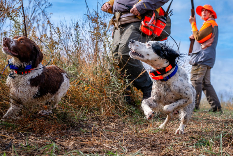 Heartland Lodge, IL -  image number 2