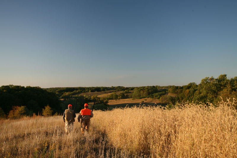 Heartland Lodge, IL - 