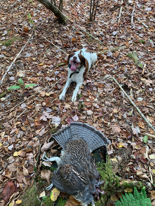 Libby Sporting Camps, ME -  image number 2