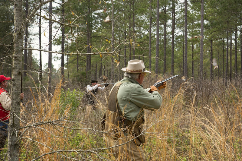 Pine Hill Plantation, GA -  image number 2
