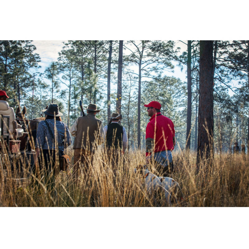 Pine Hill Plantation, GA -  image number 1