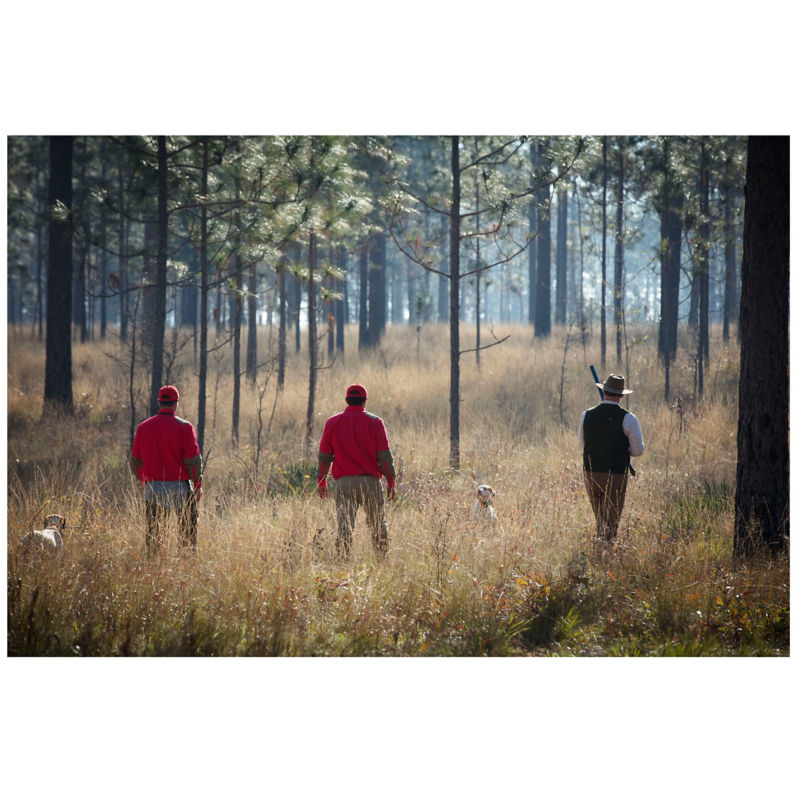 Pine Hill Plantation, GA -  image number 2