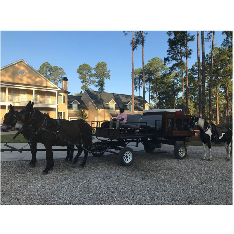 Pine Hill Plantation, GA - 