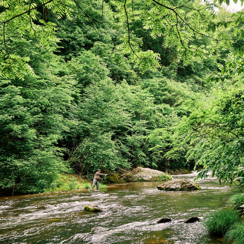 The Lodge At Primland, Auberge Collection - 