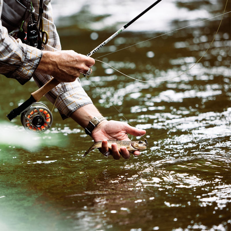 The Lodge At Primland, Auberge Collection -  image number 1