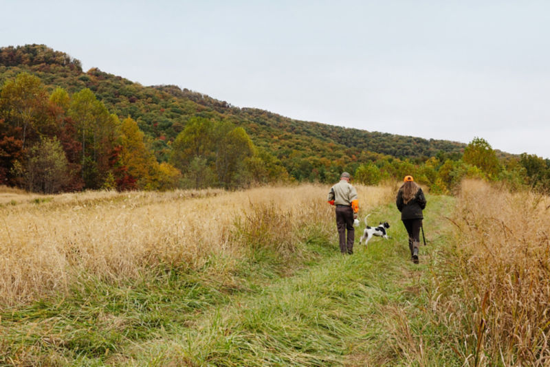 The Lodge At Primland, Auberge Collection -  image number 1