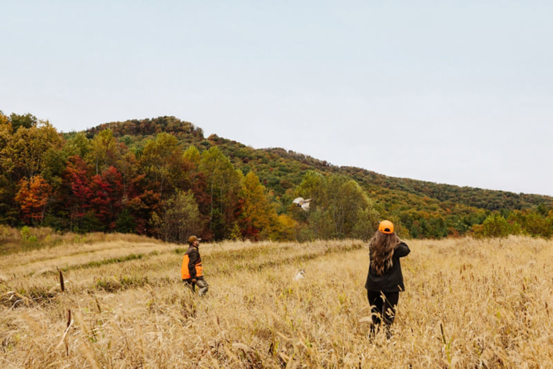 The Lodge At Primland, Auberge Collection -  image number 2
