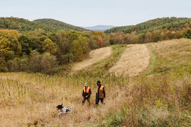 The Lodge At Primland, Auberge Collection -  image number 3
