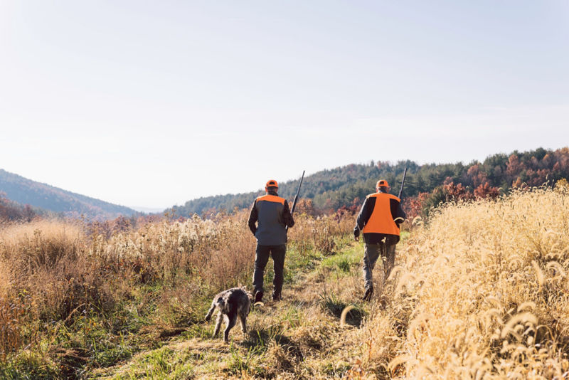 The Lodge At Primland, Auberge Collection -  image number 1