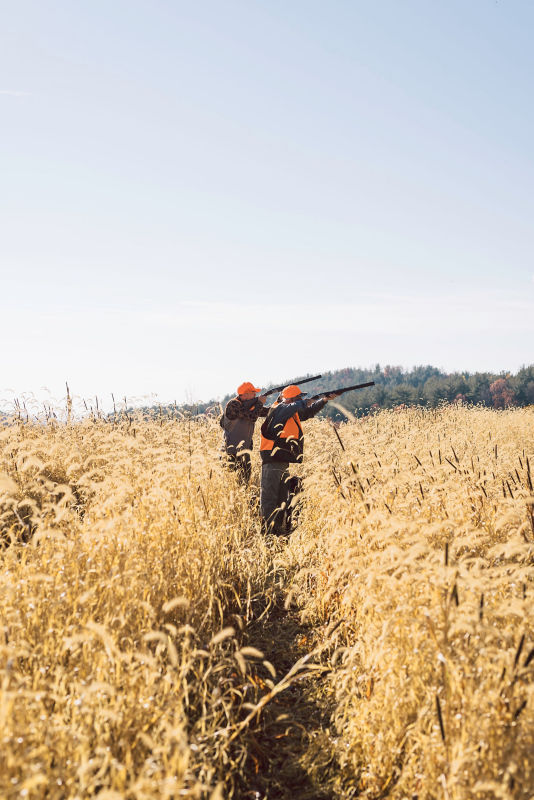 The Lodge At Primland, Auberge Collection -  image number 2