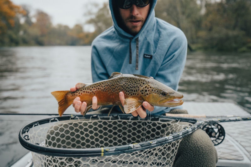 Rouse Fly Fishing, AR - 