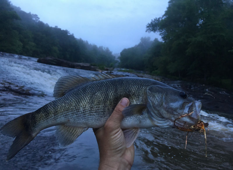 River Through Atlanta Guides, GA -  image number 1