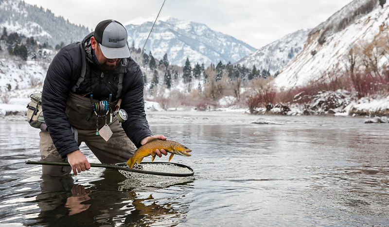 Rocky Mountain Outfitters, UT -  image number 1