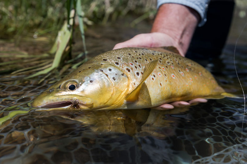 Rocky Mountain Outfitters, UT -  image number 3