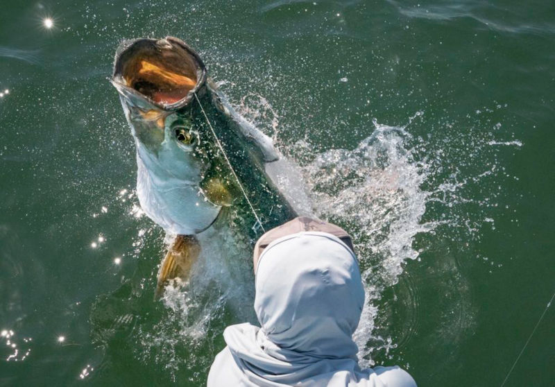 Shallow Water Expeditions, FL - 