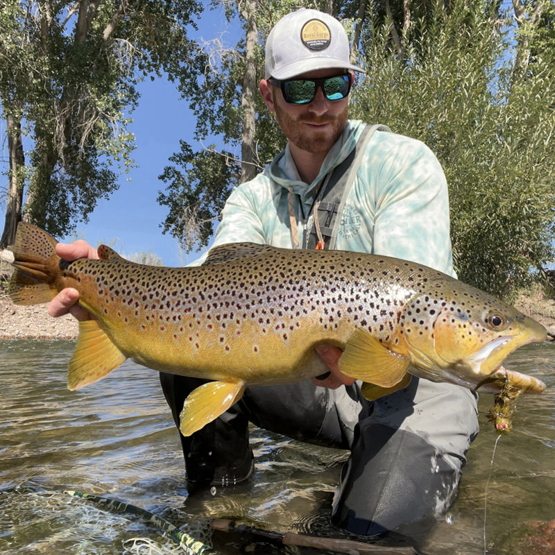 Royal Gorge Anglers, CO -  image number 2