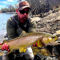 Royal Gorge Anglers, CO -  image number 5