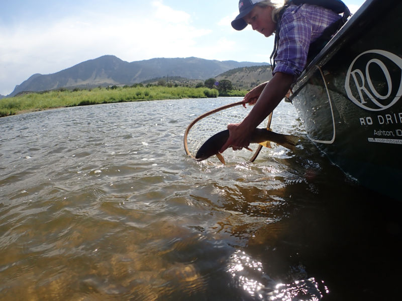 Sunrise Anglers, CO -  image number 4