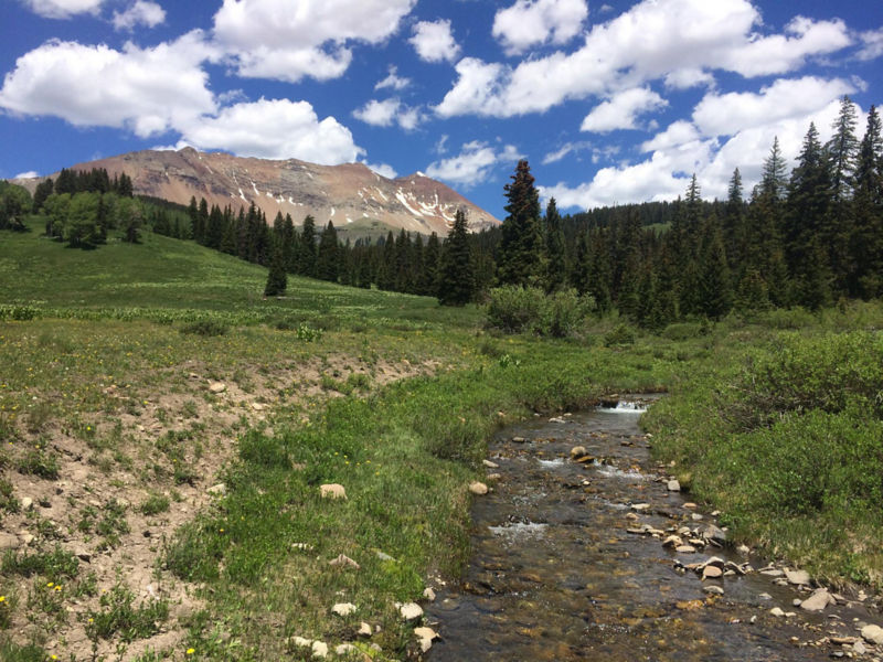 Telluride Fly Fishers, CO -  image number 5