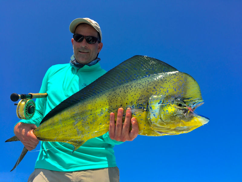 The Reel Baja, AZ -  image number 1