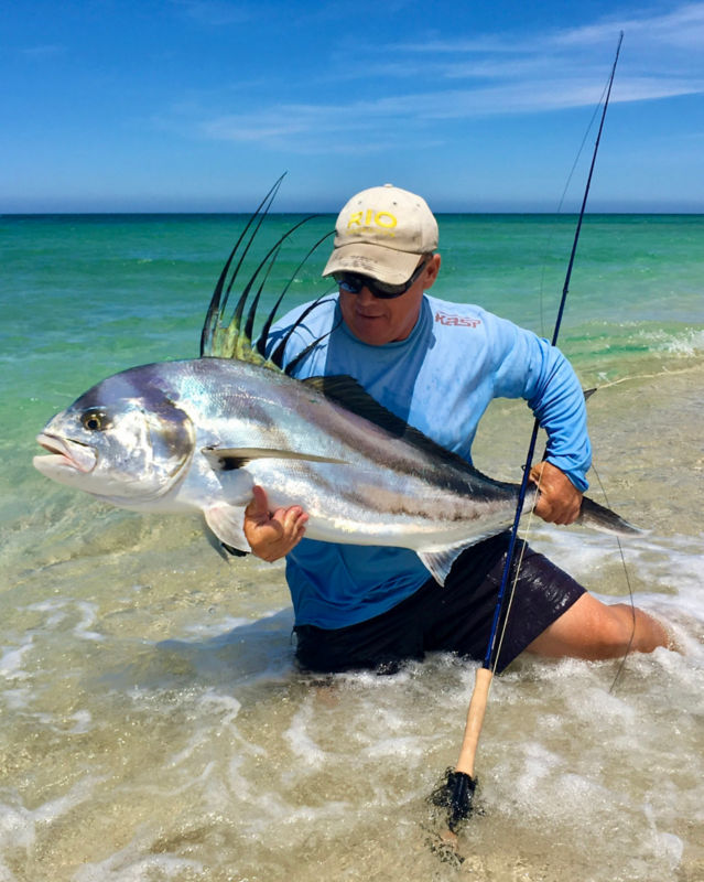 The Reel Baja, AZ -  image number 5