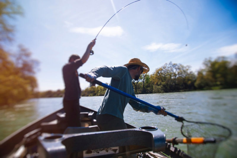 wild waters fly rods