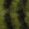 Barred Marabou - OLIVE/BLACK