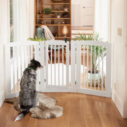A black and white dog sitting in front of a white dog gate