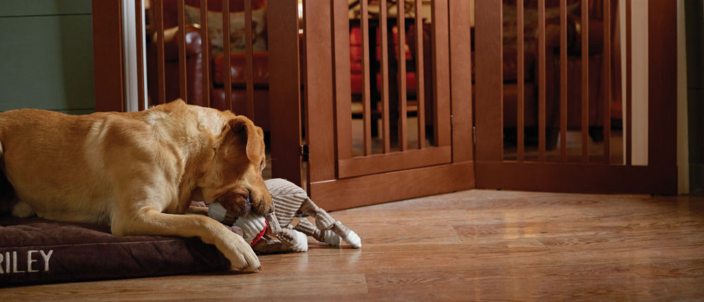 A dog sitting on a dog bed with a toy safely inside of a gate