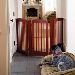 A dog being kept out of another room by an Orvis dog gate