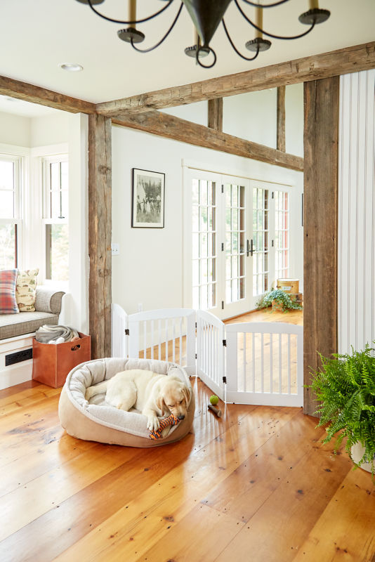 A shelty sits on one side of a white dog gate blocking them from the dining room.