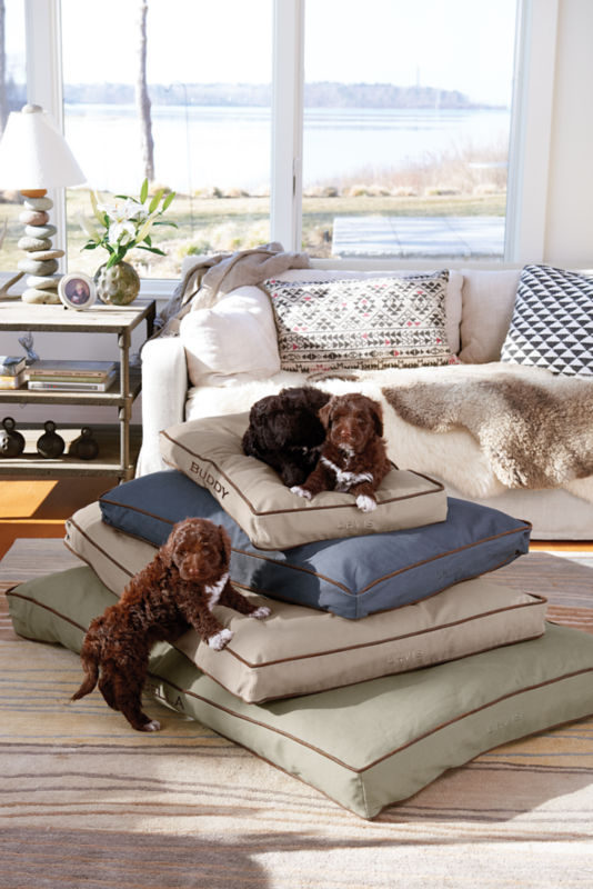 A curly-haired puppy starts to climb a big stack of dog beds.