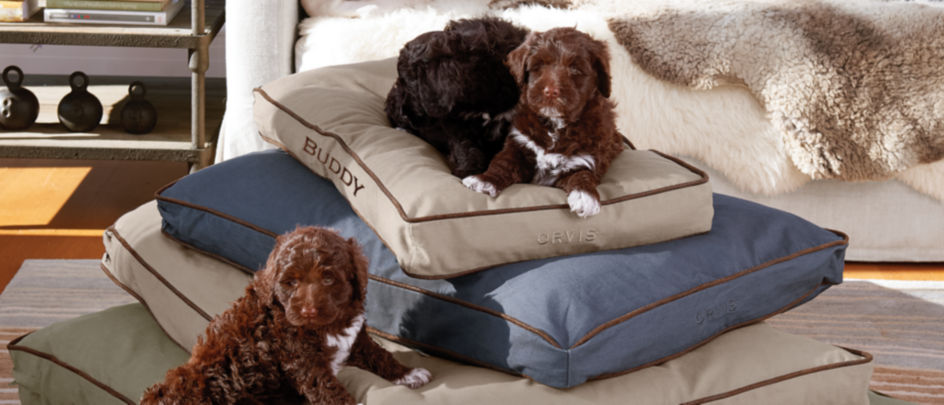 Pile of Orvis Dog beds with puppies climbing on the stack