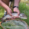 Clyde, Ohio Fly Fishing School / 1-Day School -  image number 2