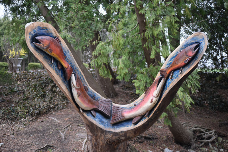 Clyde, Ohio Fly Fishing School / 2-Day School -  image number 3