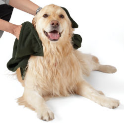 A dog getting wiped down with a Microfiber Dog-Drying Towel