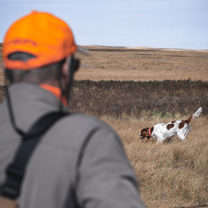 Chad Hoover - Hoover Outfitting, MT - 