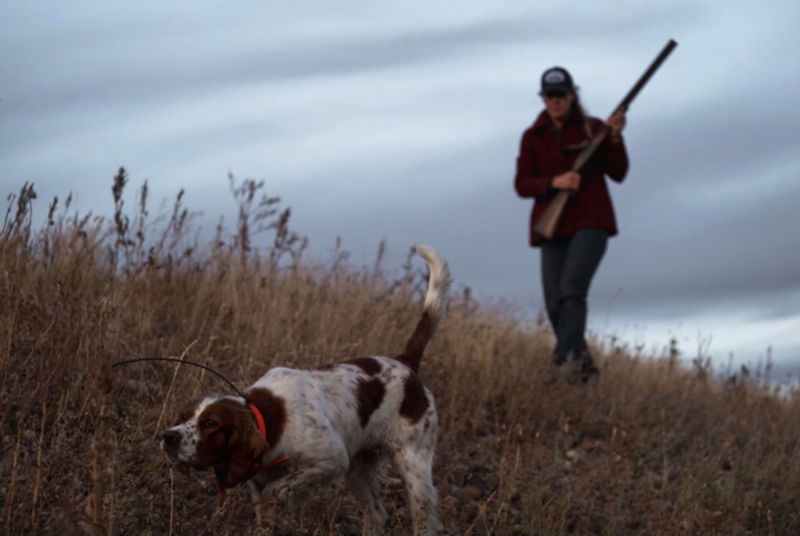 Chad Hoover - Hoover Outfitting, MT -  image number 4