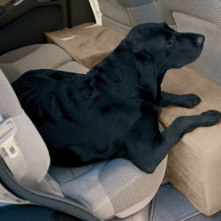 A black dog leaning on a khaki backseat extender