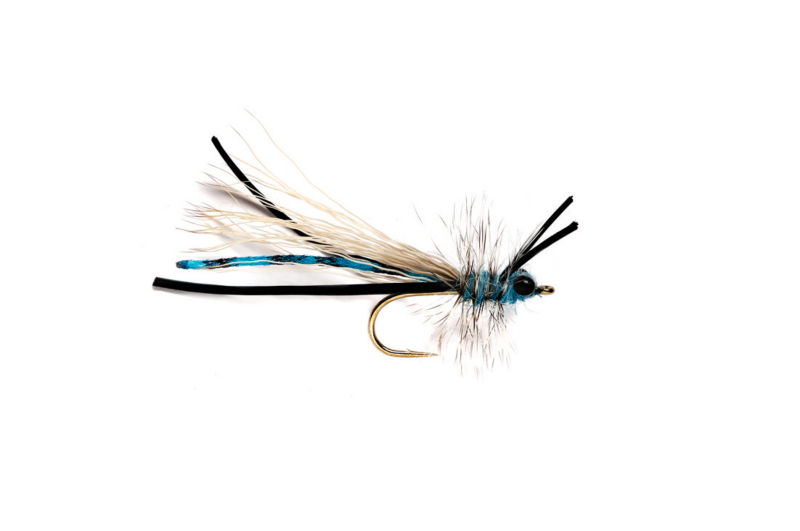 Fluttering Blue Damsel - 