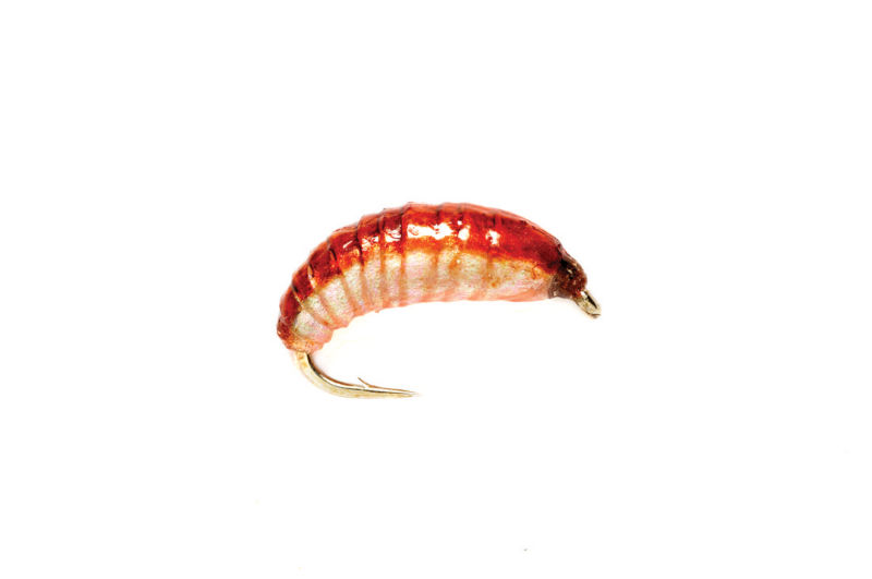 Ooey Gooey Grub -  image number 0