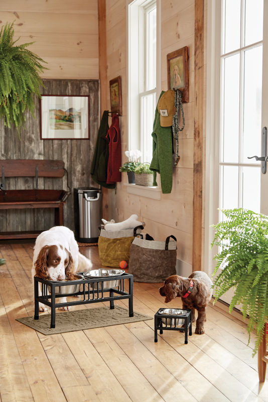 Orvis store dog feeder