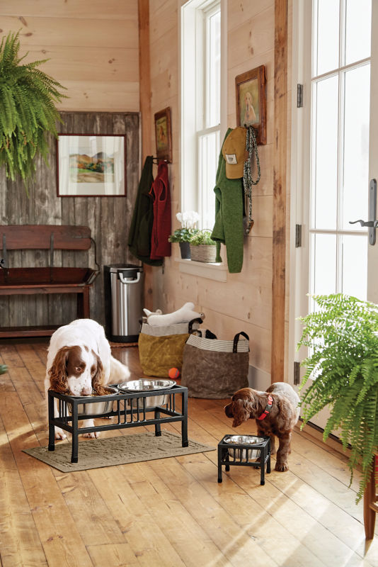 A white dog and a brown dog eating out of metal food stands inside a house.